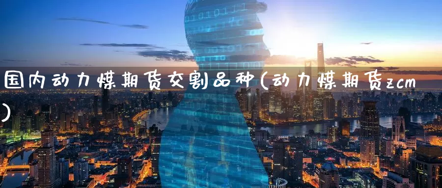 国内动力煤期货交割品种(动力煤期货zcm)