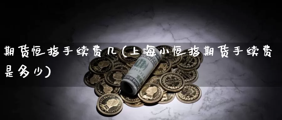 期货恒指手续费几(上海小恒指期货手续费是多少)