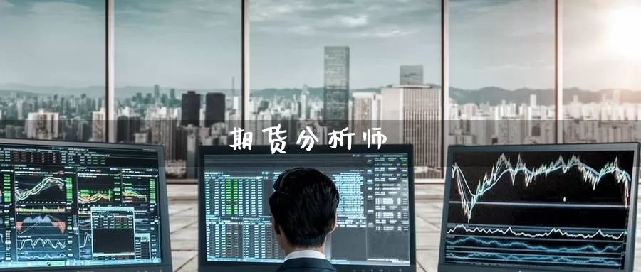 期货分析师