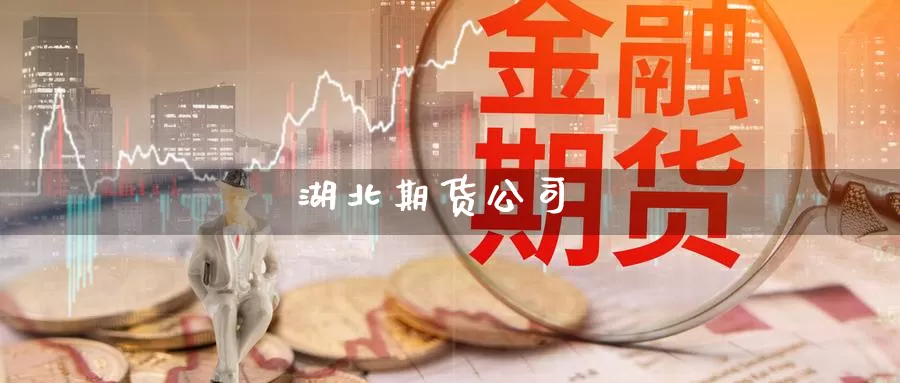 湖北期货公司
