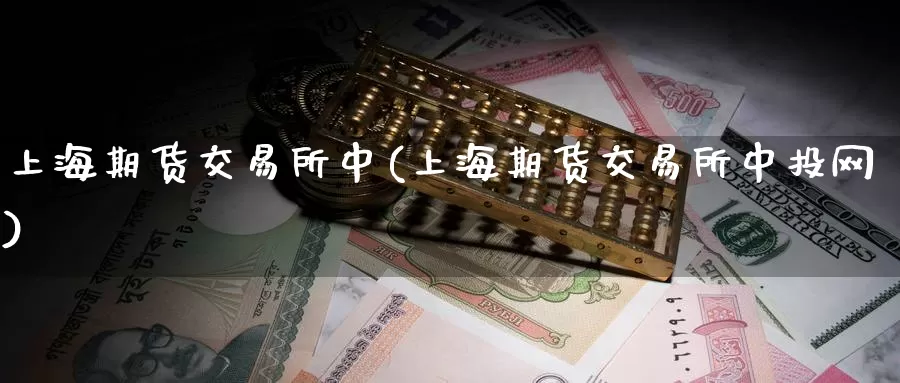 上海期货交易所中(上海期货交易所中投网)