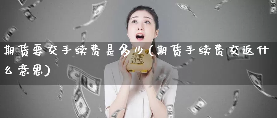 期货要交手续费是多少(期货手续费交返什么意思)