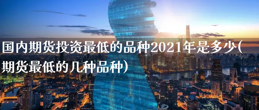 国内期货投资最低的品种2021年是多少(期货最低的几种品种)