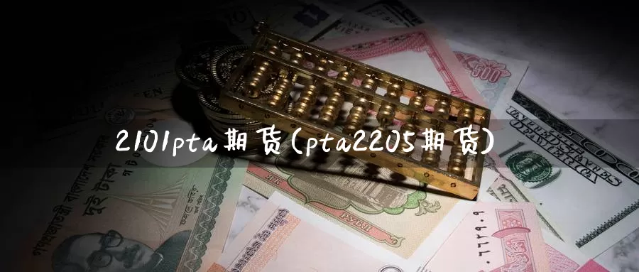 2101pta期货(pta2205期货)