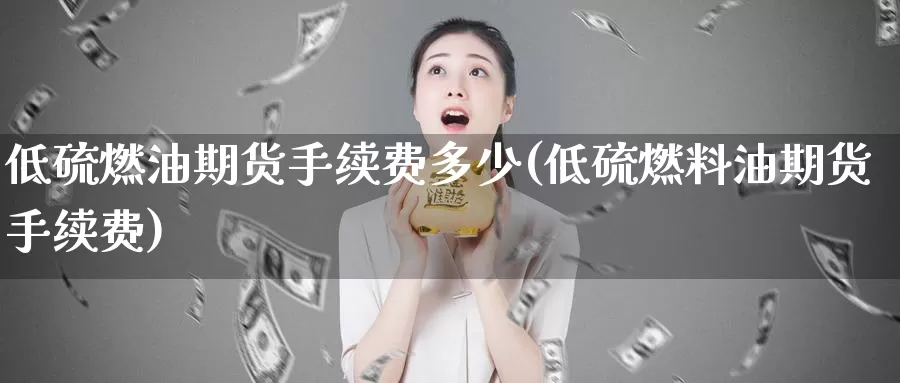 低硫燃油期货手续费多少(低硫燃料油期货手续费)