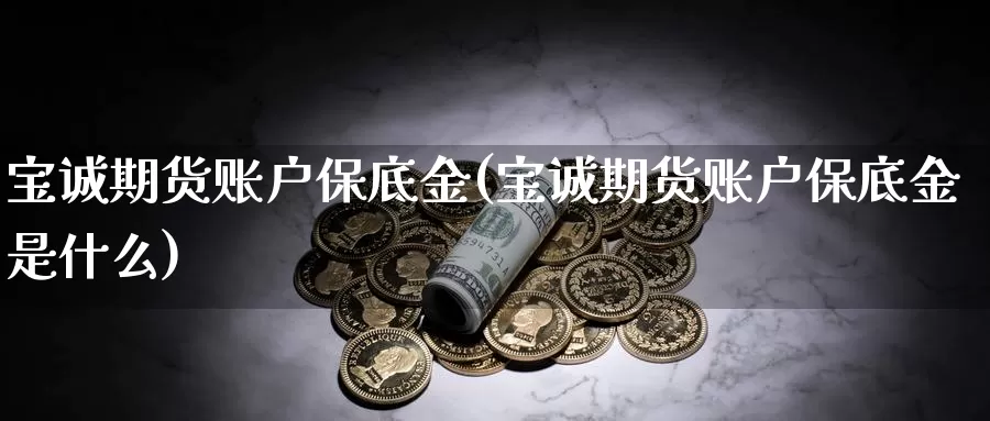 宝诚期货账户保底金(宝诚期货账户保底金是什么)