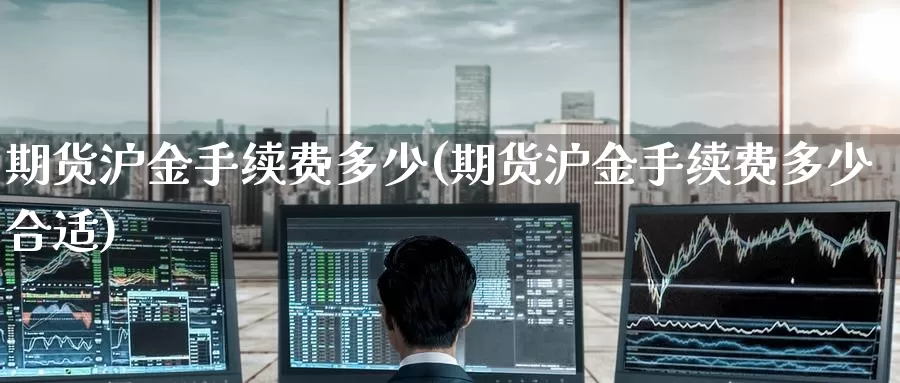 期货沪金手续费多少(期货沪金手续费多少合适)