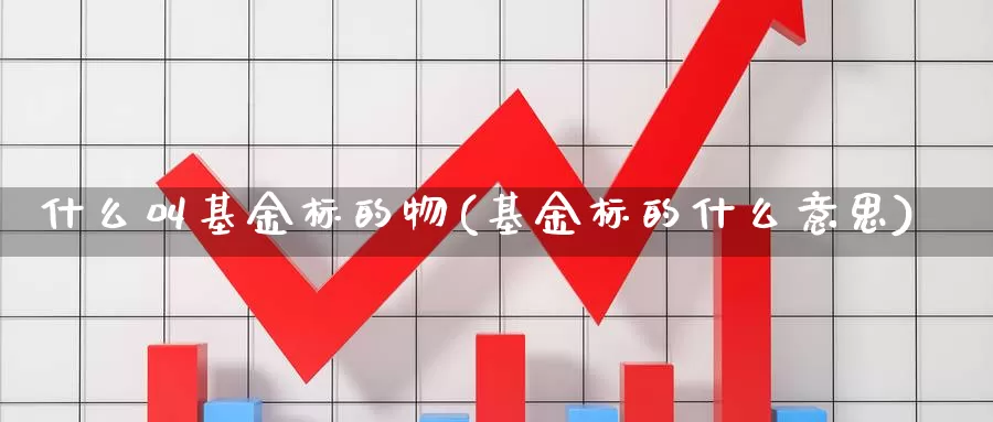 什么叫基金标的物(基金标的什么意思)