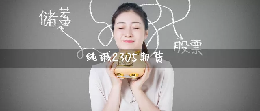 纯碱2305期货