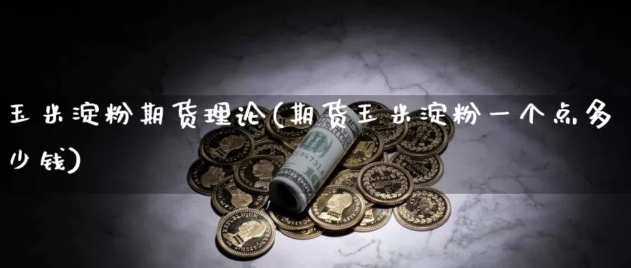 玉米淀粉期货理论(期货玉米淀粉一个点多少钱)