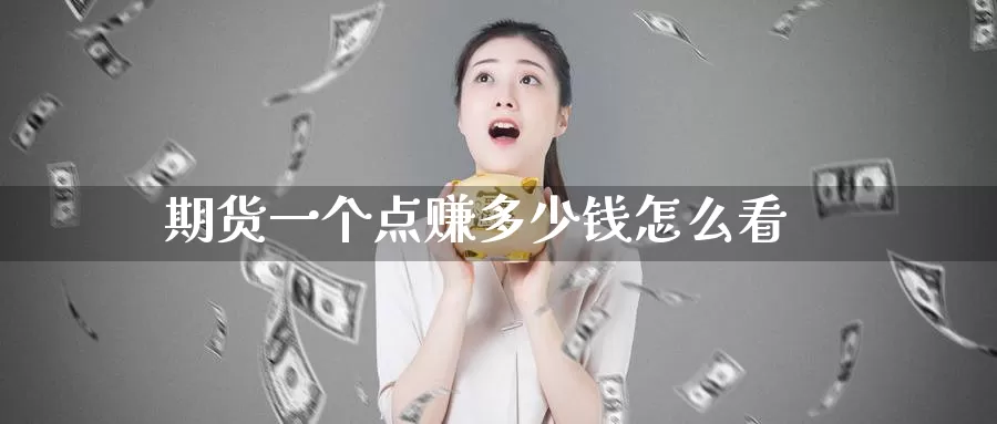 期货一个点赚多少钱怎么看