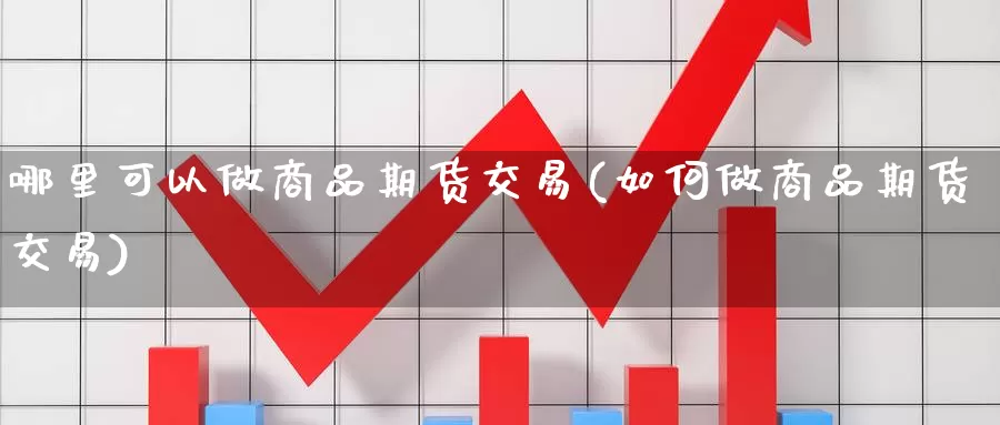 哪里可以做商品期货交易(如何做商品期货交易)