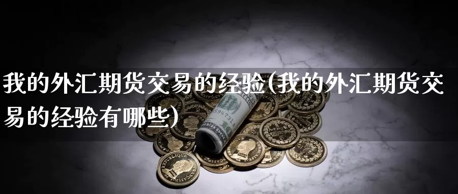 我的外汇期货交易的经验(我的外汇期货交易的经验有哪些)