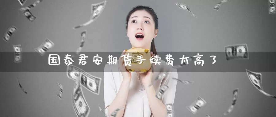 期货手续费太高了
