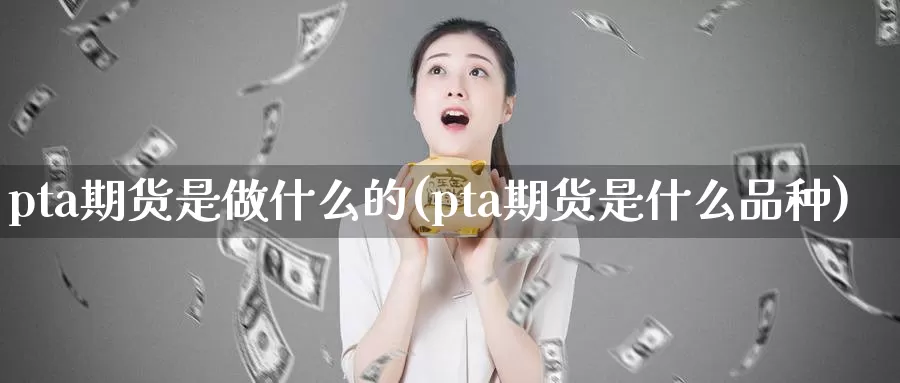 pta期货是做什么的(pta期货是什么品种)