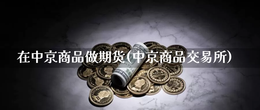 在中京商品做期货(中京商品交易所)