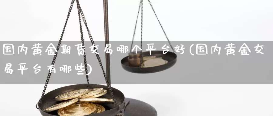 国内黄金期货交易哪个平台好(国内黄金交易平台有哪些)