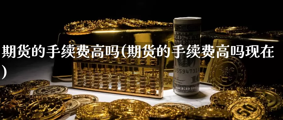 期货的手续费高吗(期货的手续费高吗现在)