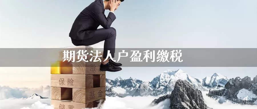 期货法人户盈利缴税