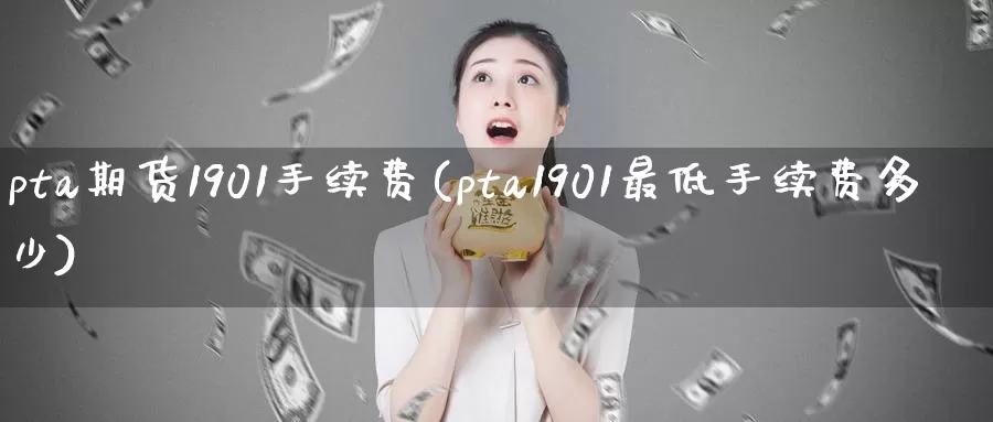 pta期货1901手续费(pta1901最低手续费多少)
