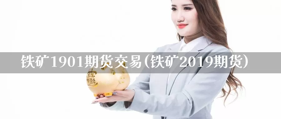 铁矿1901期货交易(铁矿2019期货)