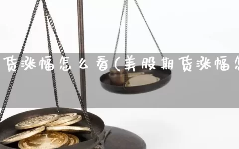美股期货涨幅怎么看(美股期货涨幅怎么看的)