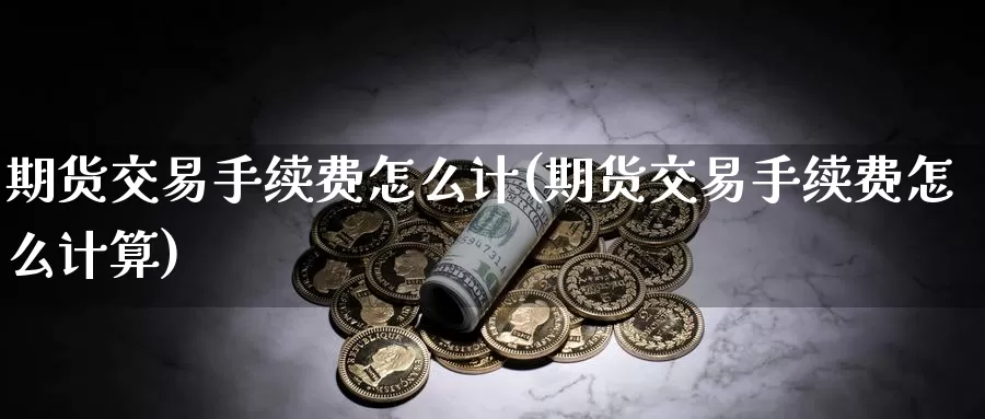 期货交易手续费怎么计(期货交易手续费怎么计算)