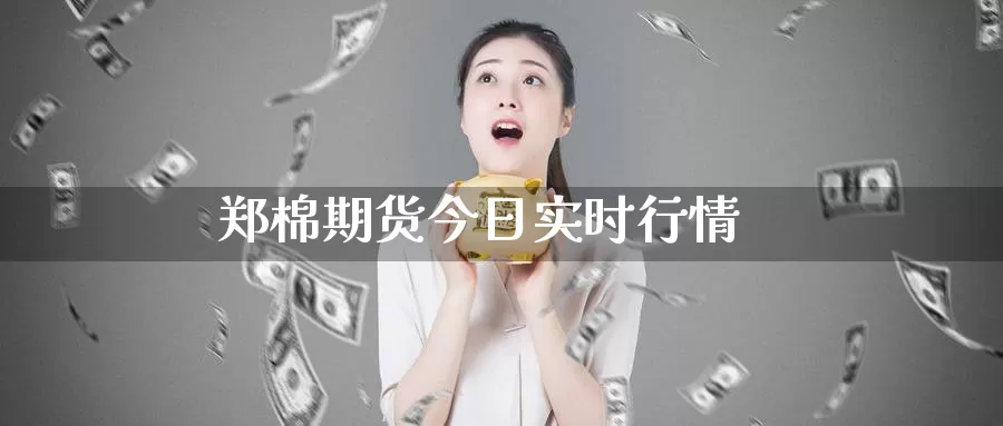 郑棉期货今日实时行情