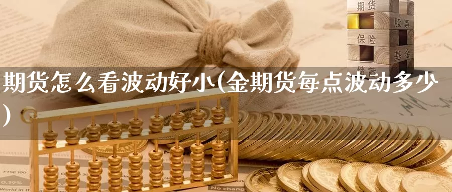 期货怎么看波动好小(金期货每点波动多少)