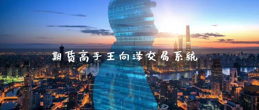 期货高手王向洋交易系统