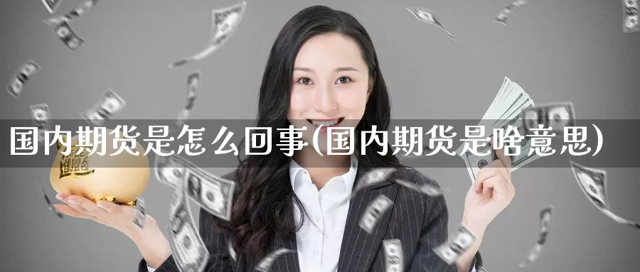 国内期货是怎么回事(国内期货是啥意思)