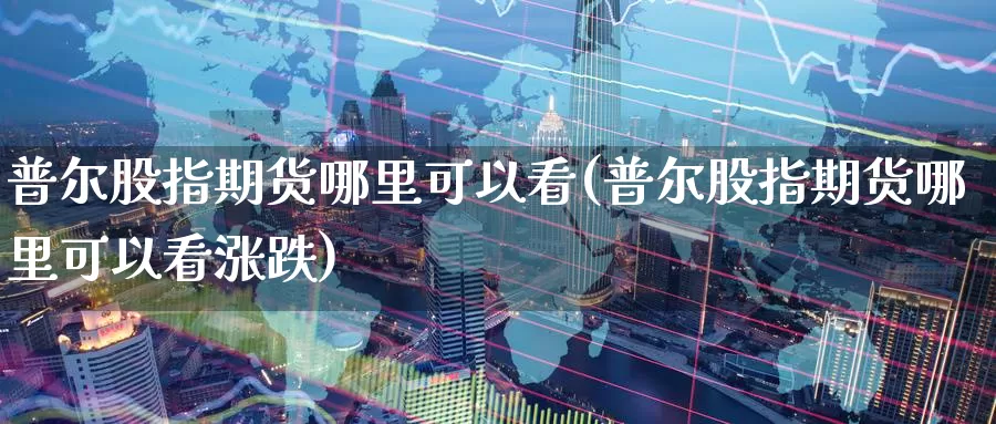 普尔股指期货哪里可以看(普尔股指期货哪里可以看涨跌)