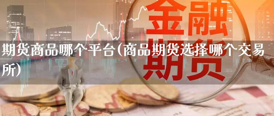 期货商品哪个平台(商品期货选择哪个交易所)