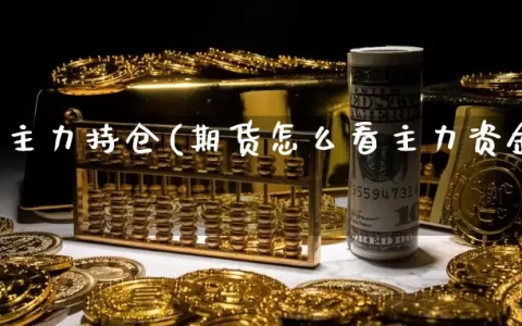 查期货主力持仓(期货怎么看主力资金流向)