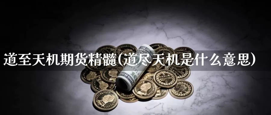 道至天机期货精髓(道尽天机是什么意思)