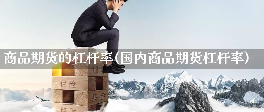 商品期货的杠杆率(国内商品期货杠杆率)