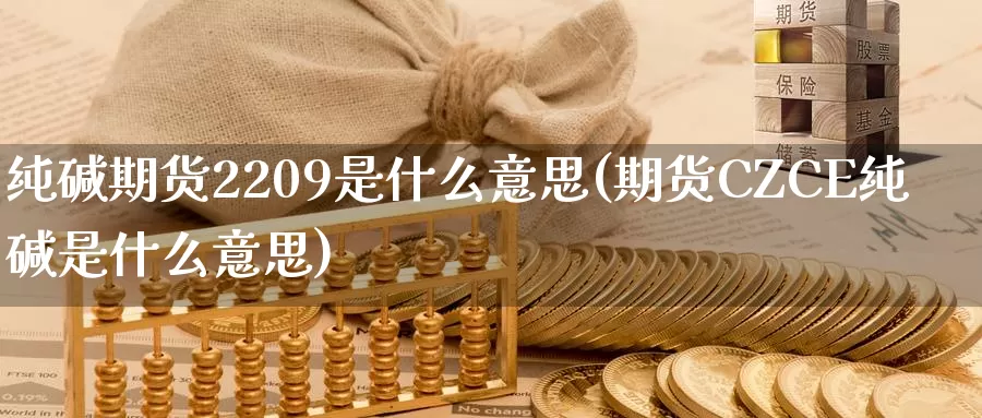 纯碱期货2209是什么意思(期货CZCE纯碱是什么意思)