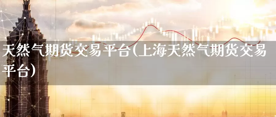 天然气期货交易平台(上海天然气期货交易平台)