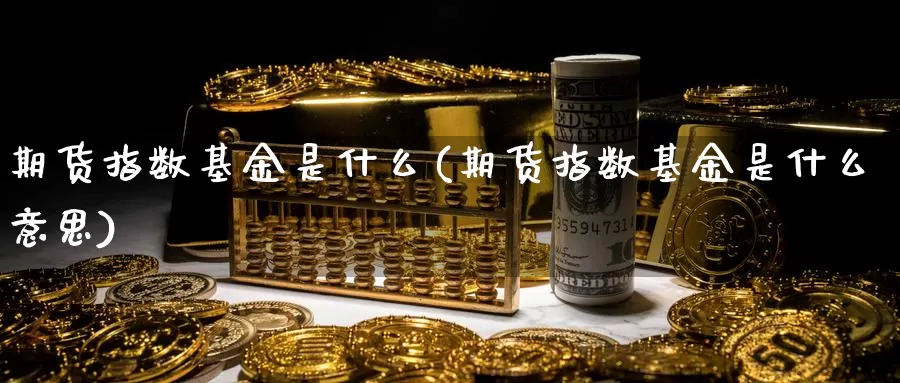期货指数基金是什么(期货指数基金是什么意思)