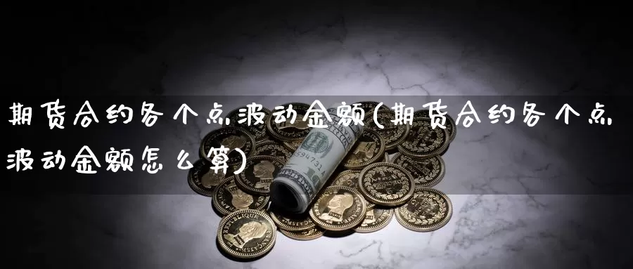 期货合约各个点波动金额(期货合约各个点波动金额怎么算)