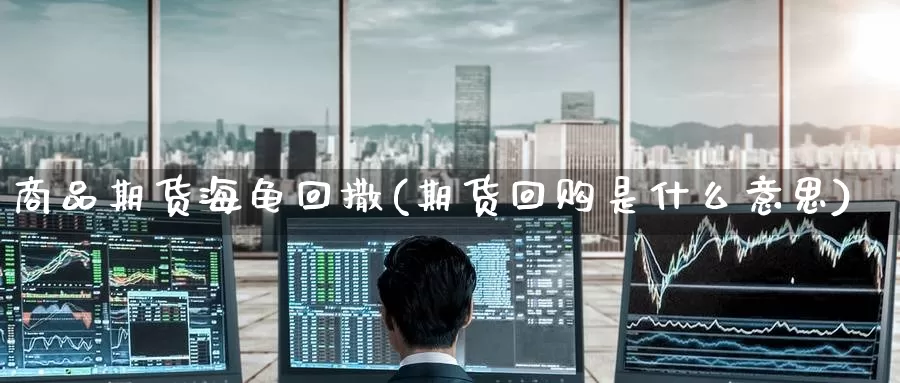 商品期货海龟回撒(期货回购是什么意思)