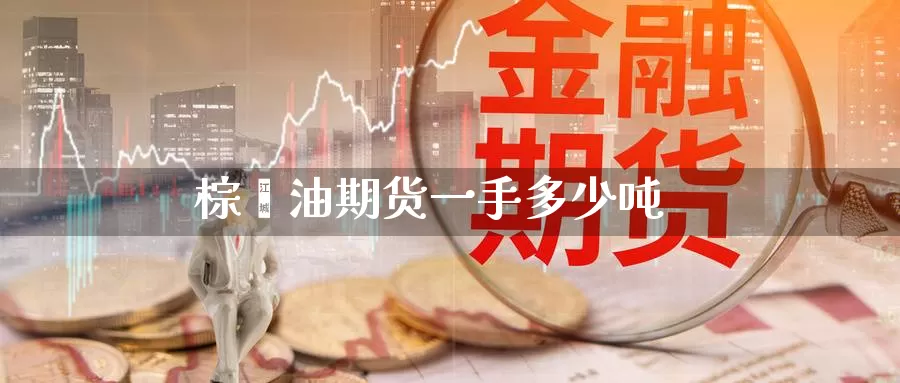 棕榈油期货一手多少吨