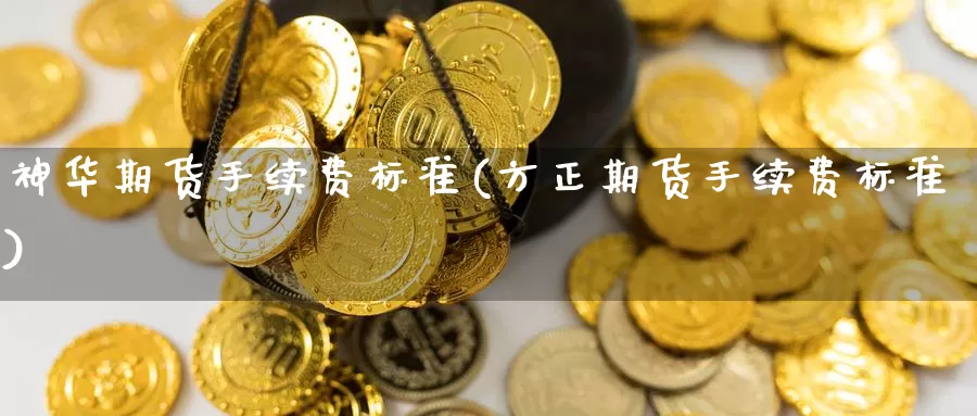 神华期货手续费标准(方正期货手续费标准)