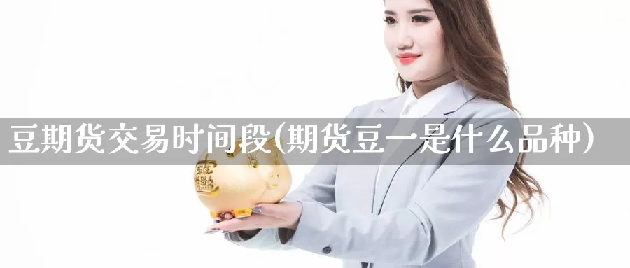 豆期货交易时间段(期货豆一是什么品种)