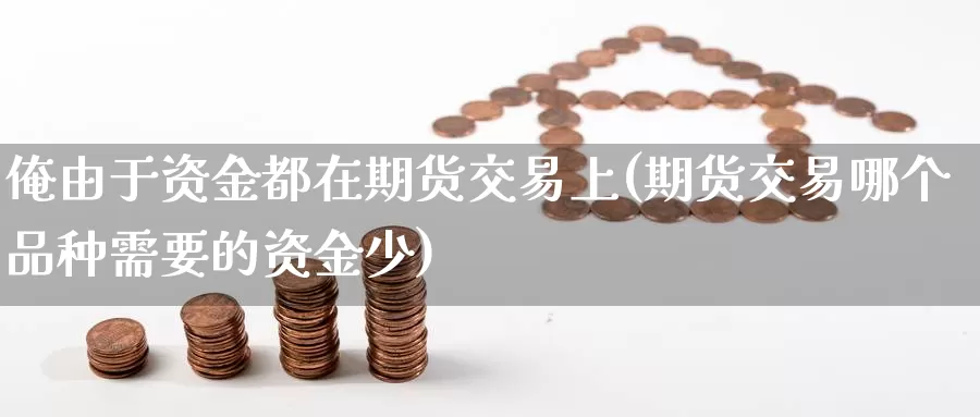 俺由于资金都在期货交易上(期货交易哪个品种需要的资金少)