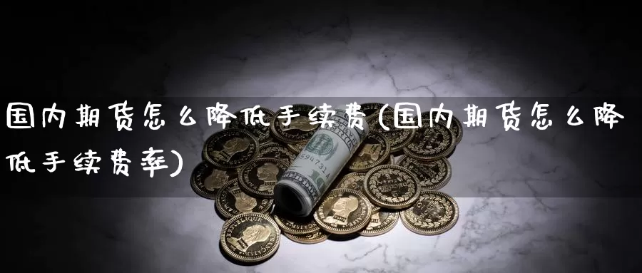 国内期货怎么降低手续费(国内期货怎么降低手续费率)