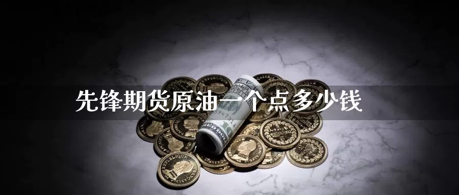 先锋期货原油一个点多少钱