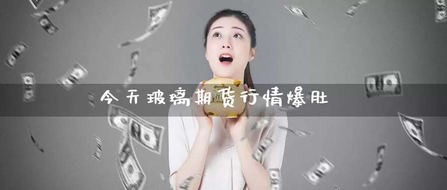 今天玻璃期货行情爆肚