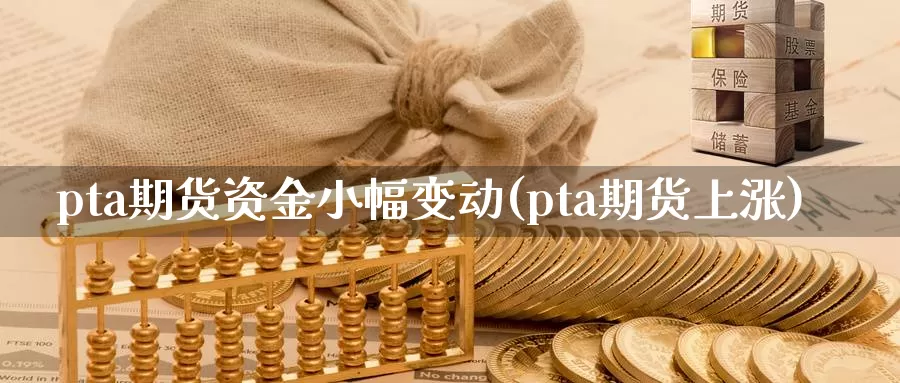 pta期货资金小幅变动(pta期货上涨)