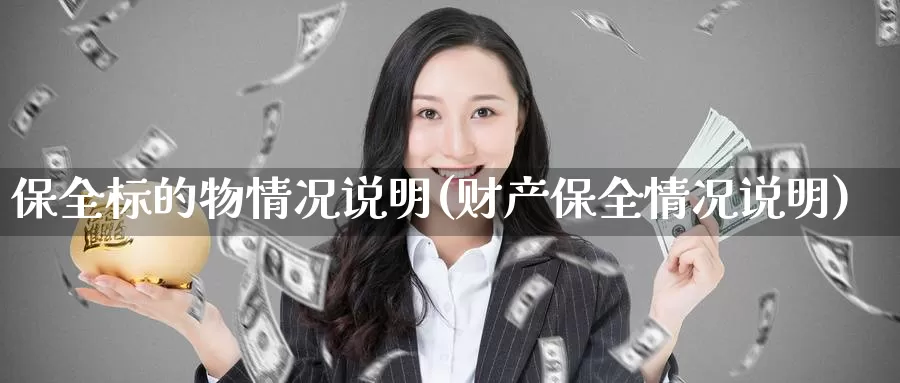 保全标的物情况说明(财产保全情况说明)